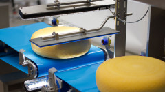 Round cheeses without rind are checked for remaining pieces of rind with a vision system